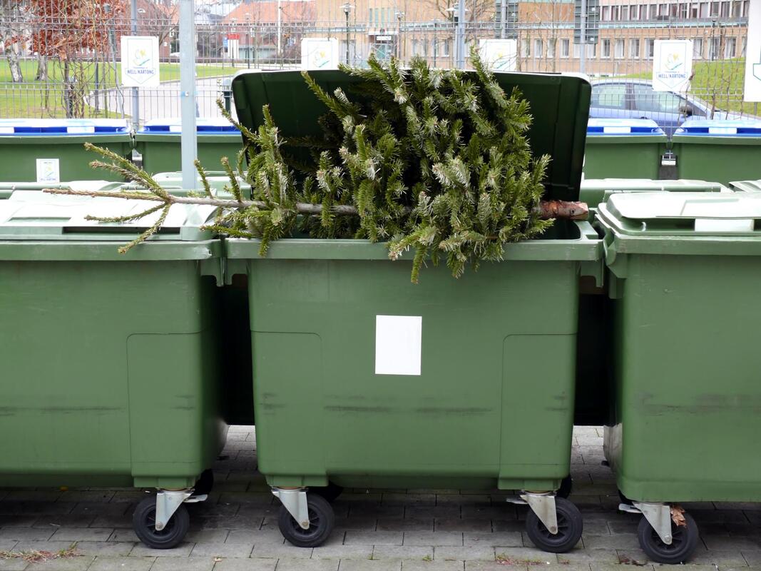 a christmas tree on a dumpster