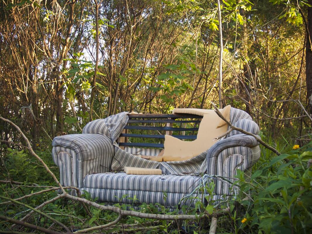 a damaged sofa in a forest